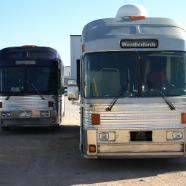 a dead eagle and a live one