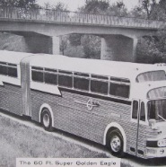 60 foot super golden eagle